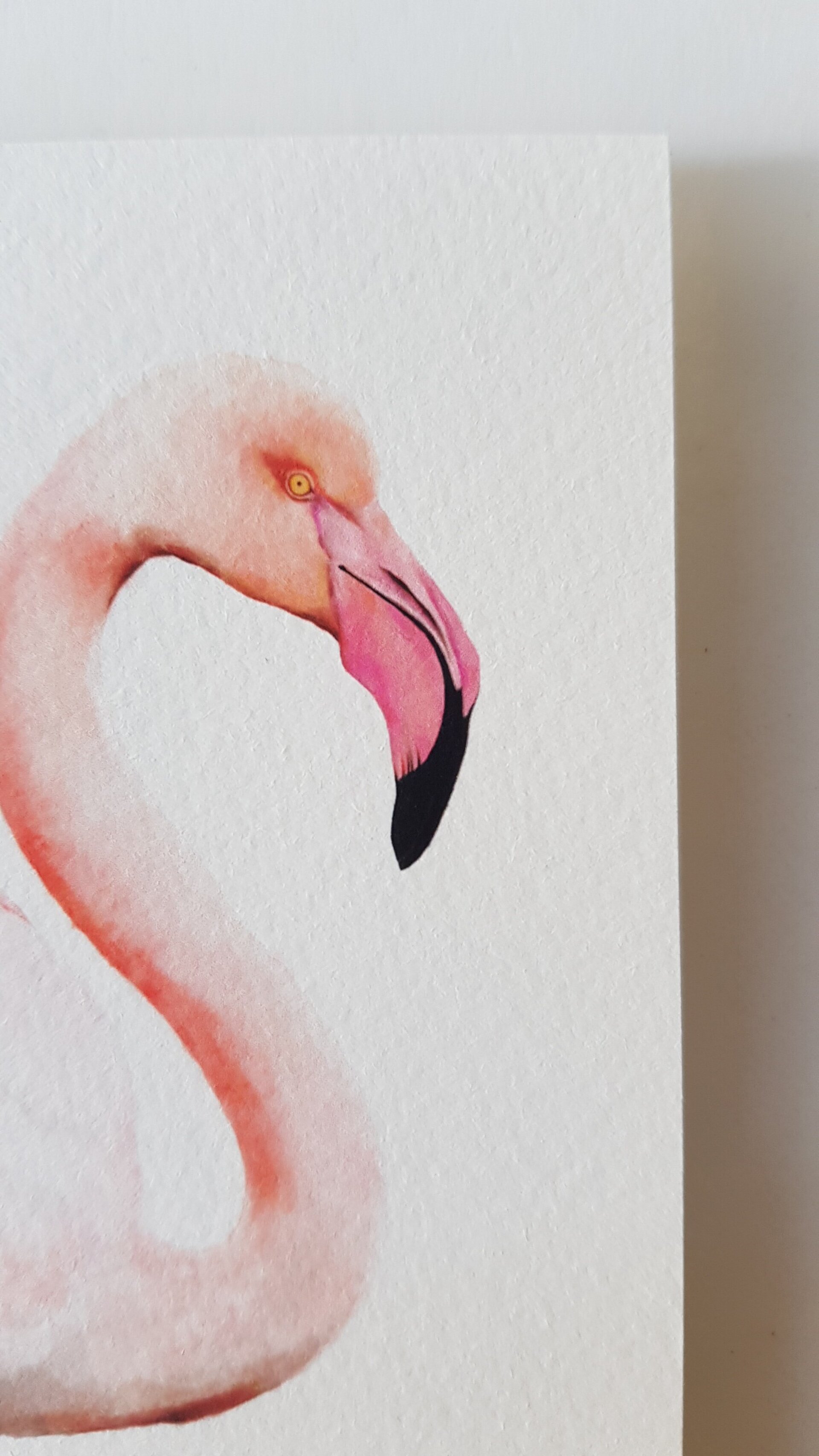 Print FLAMENC - 2