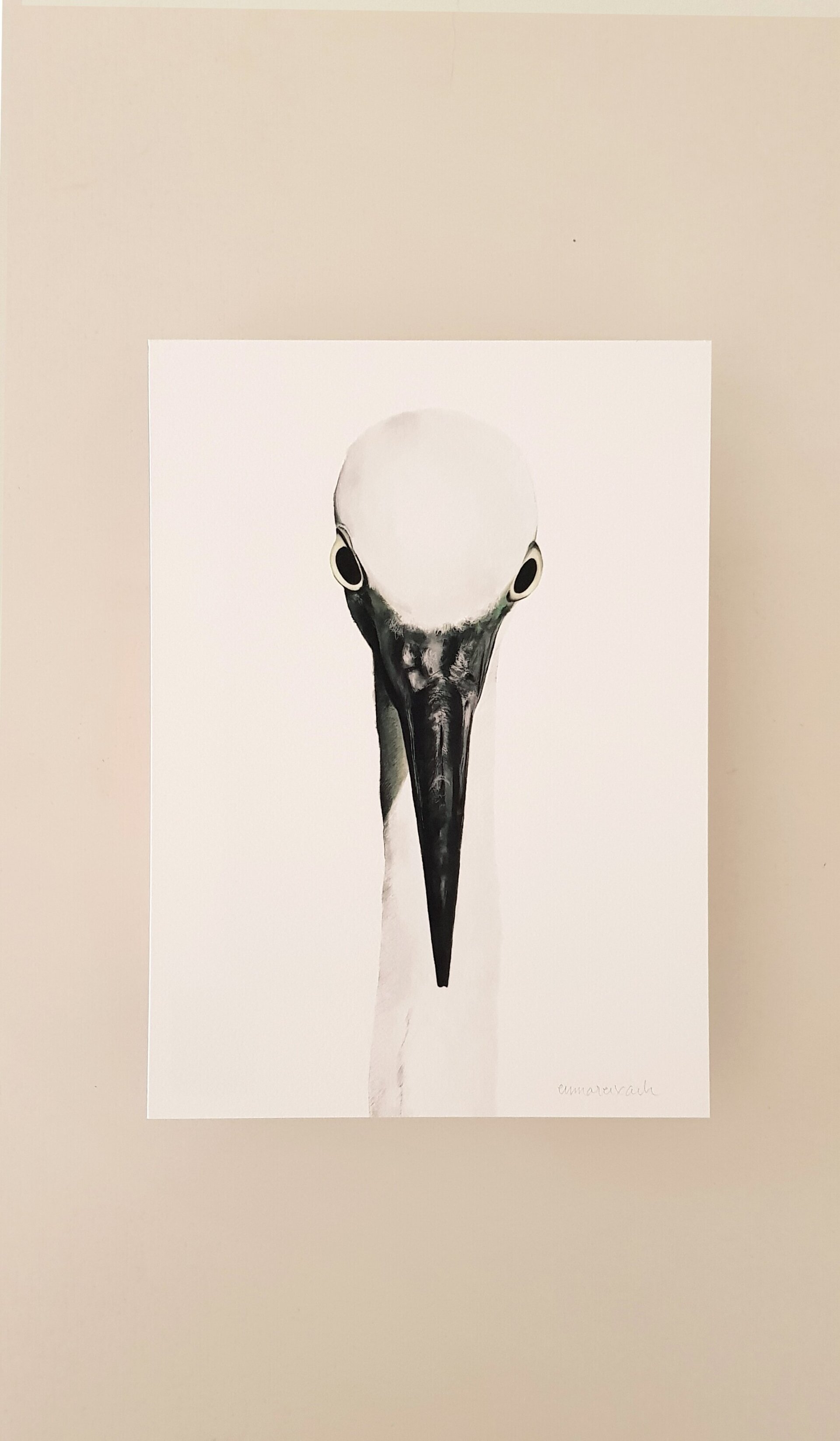 Print MARTINET BLANC - 5