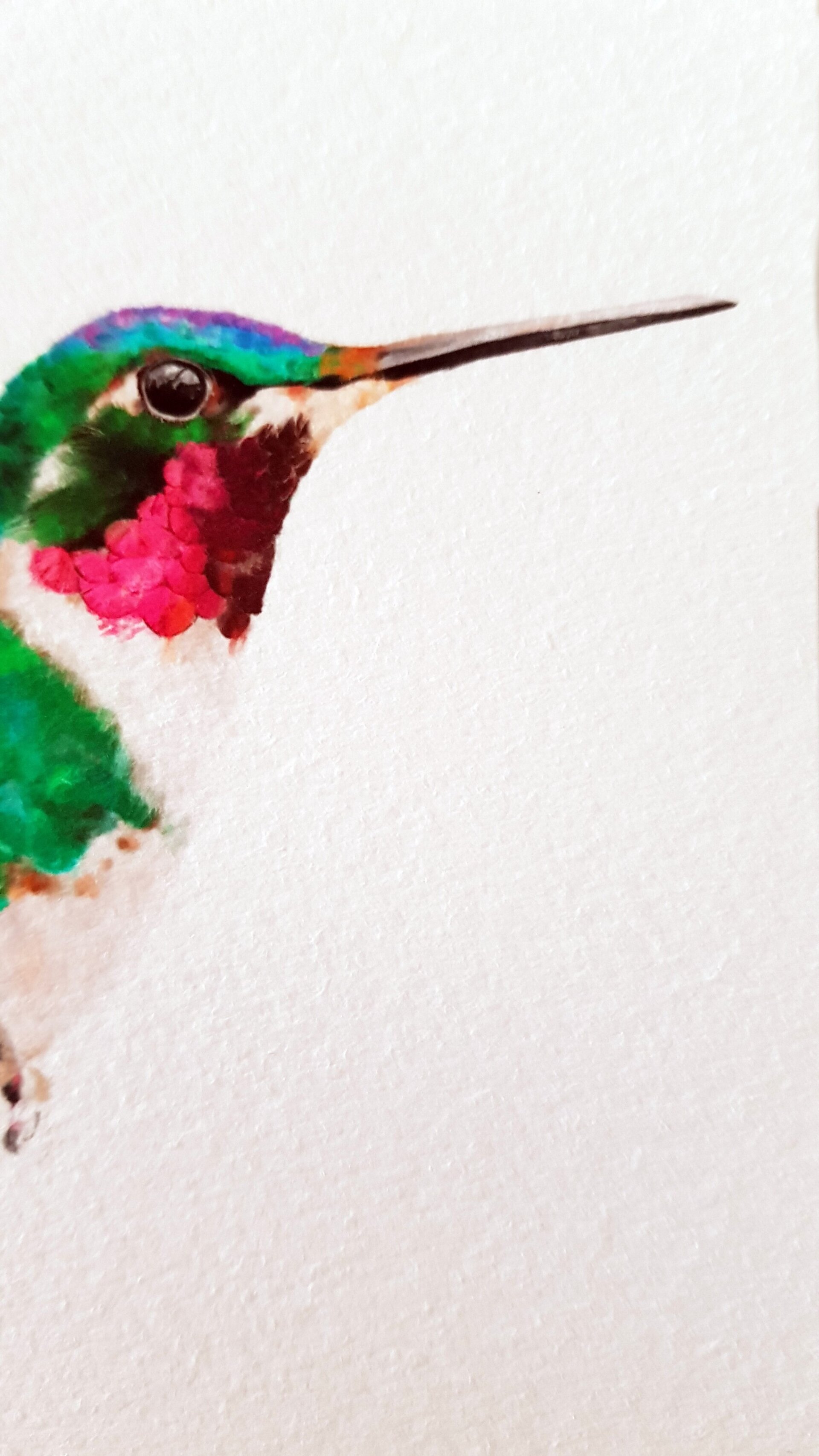 Print COLIBRÍ (Edició limitada) - 3