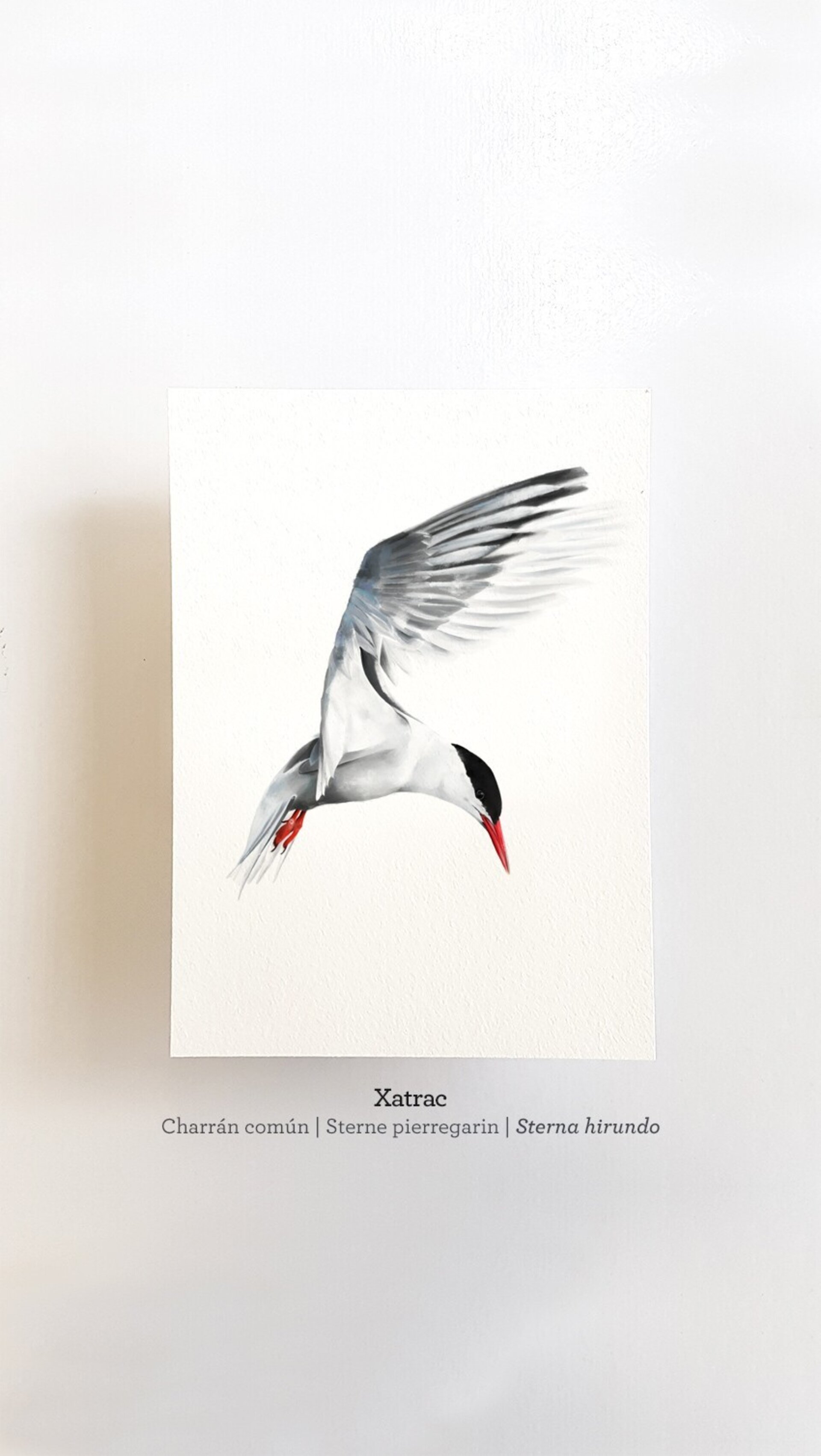 Print XATRAC - 1