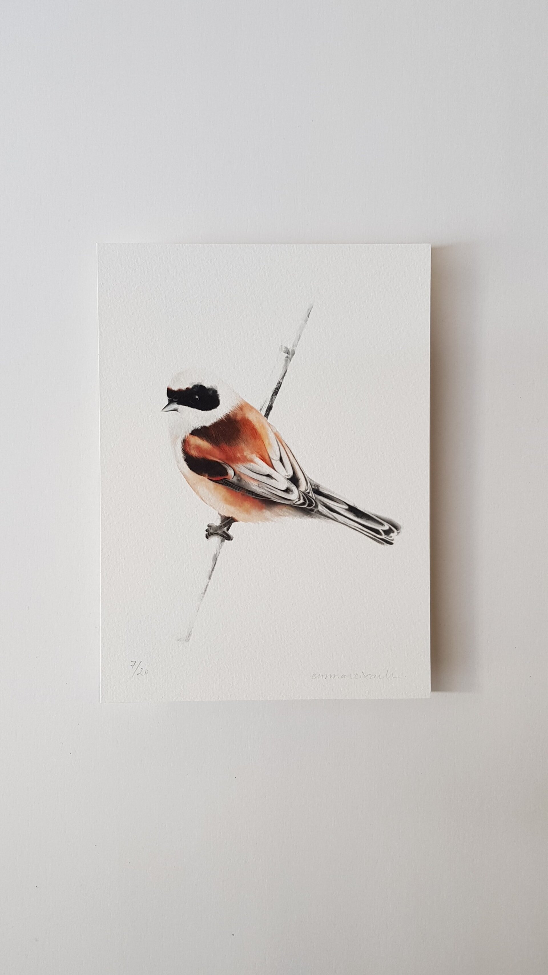 Print TEIXIDOR - 6