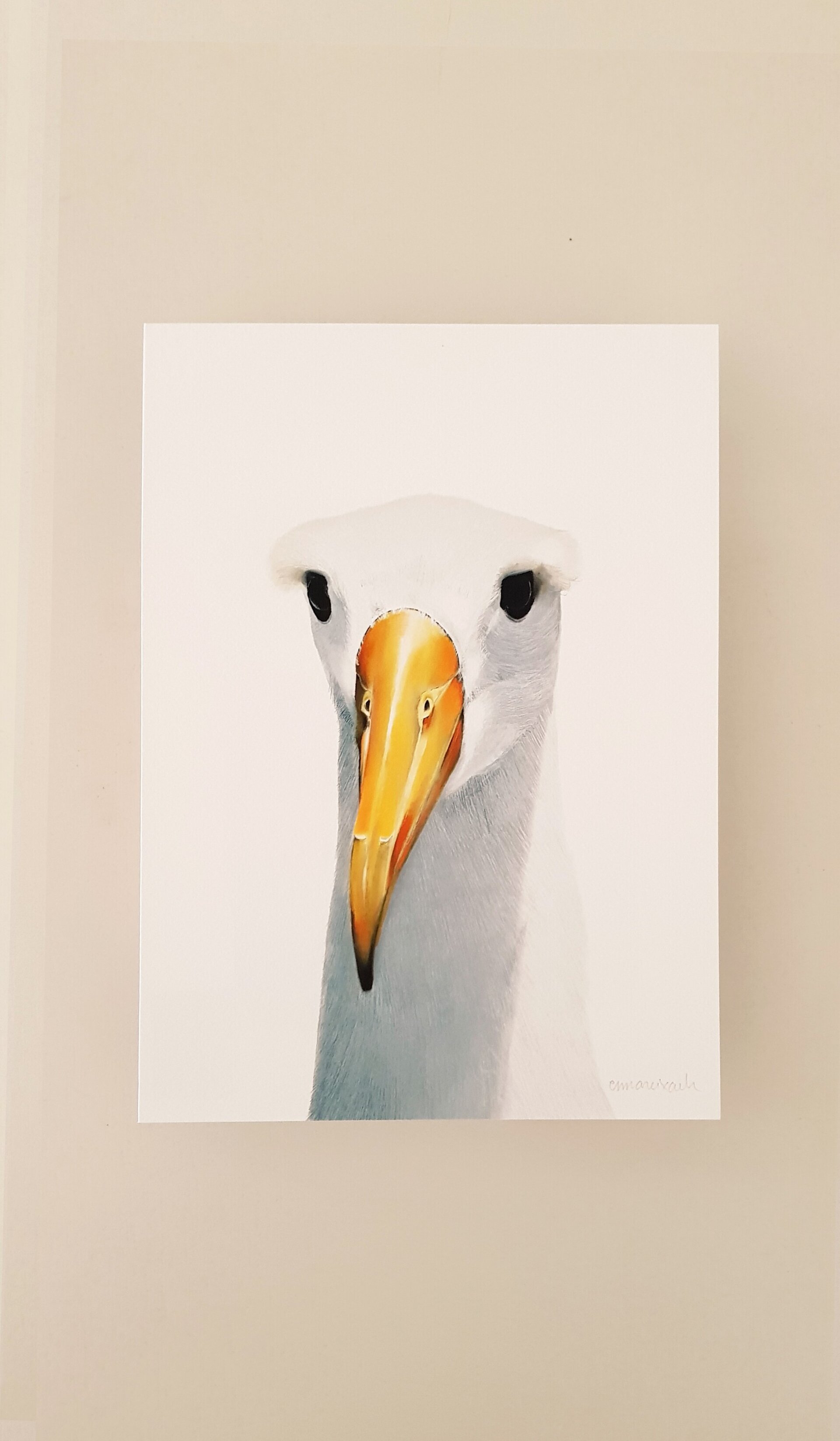 Print ALBATROS - 5