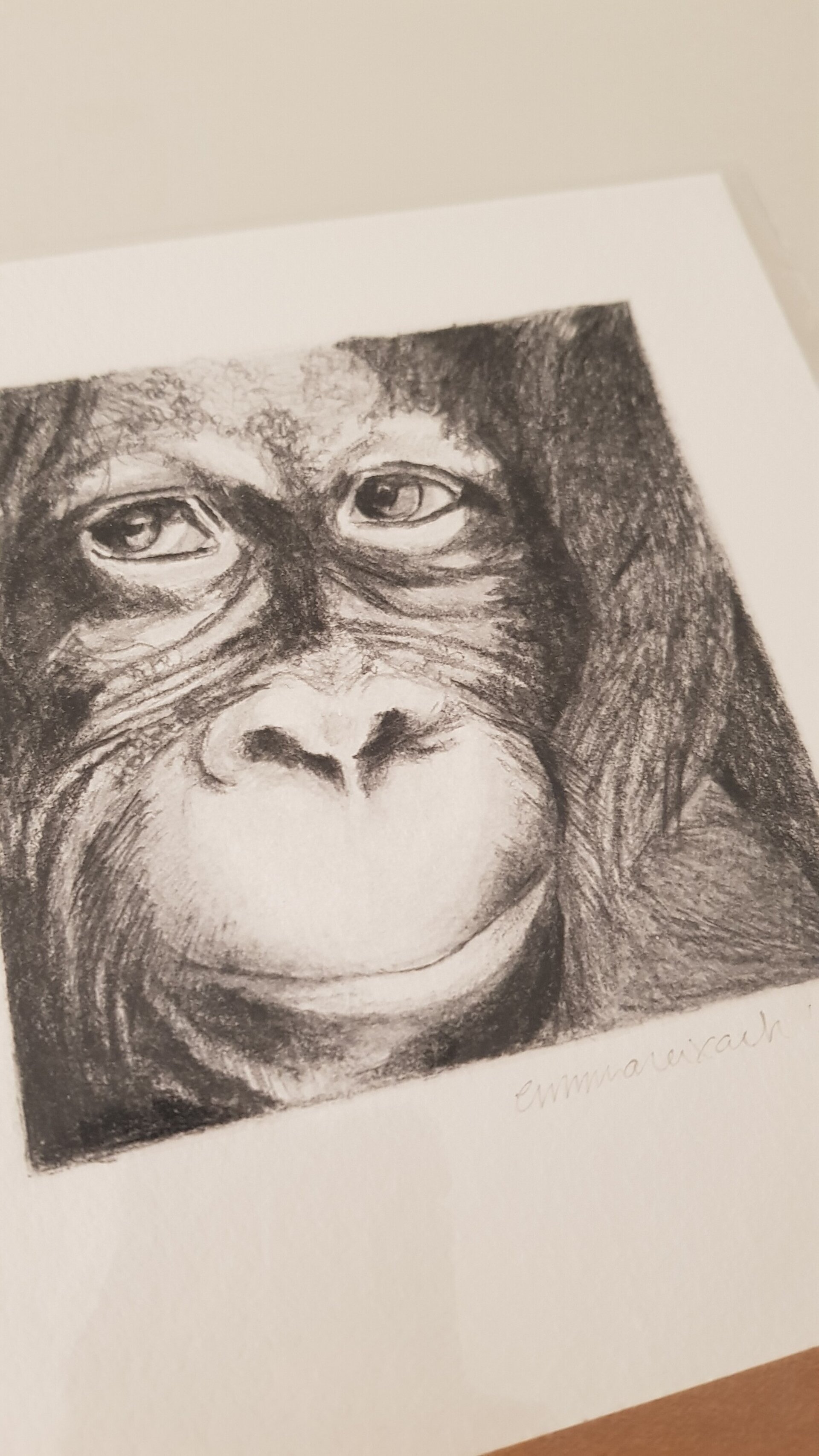Print ORANGUTÀ - 2