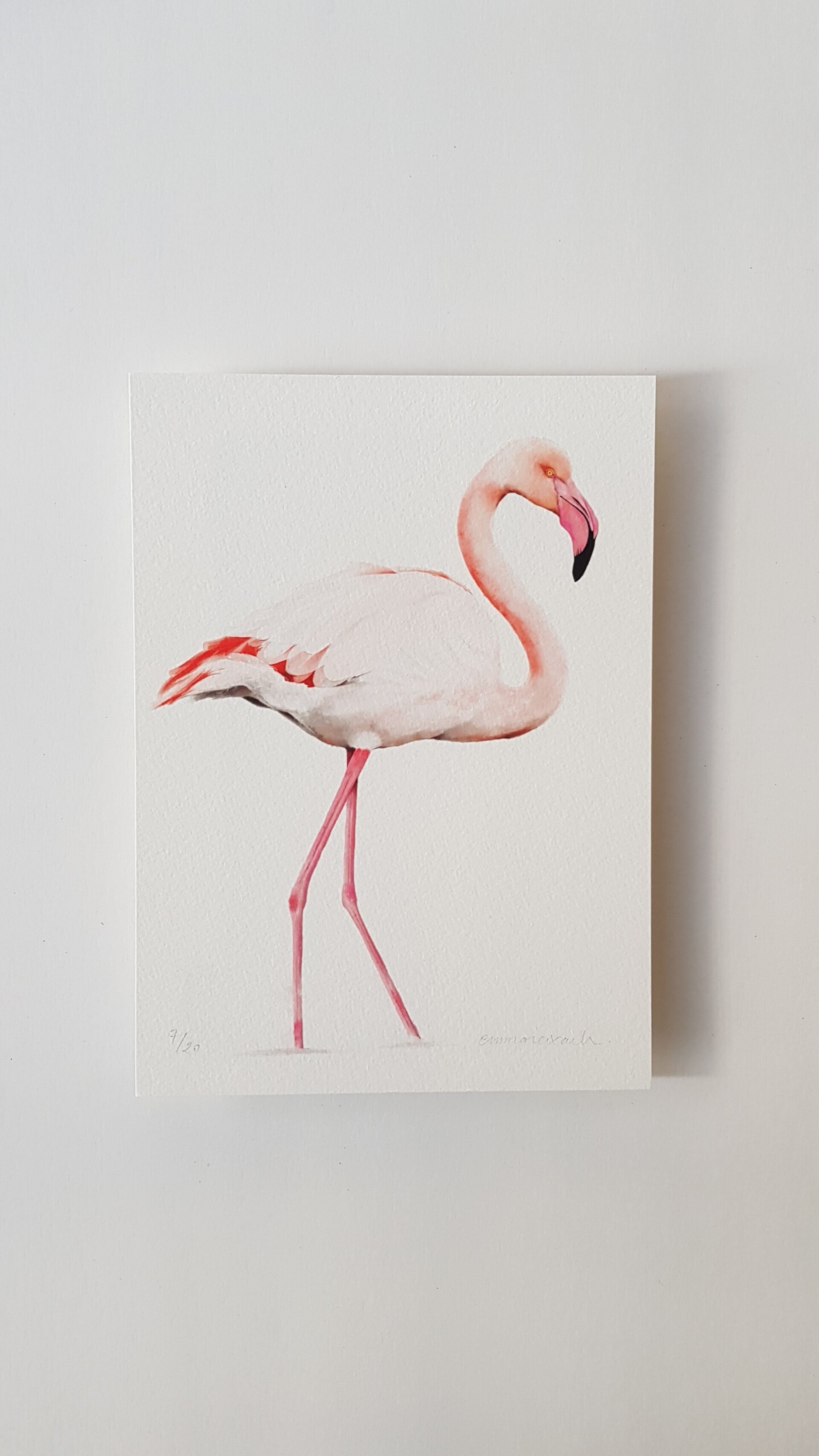 Print FLAMENC - 3