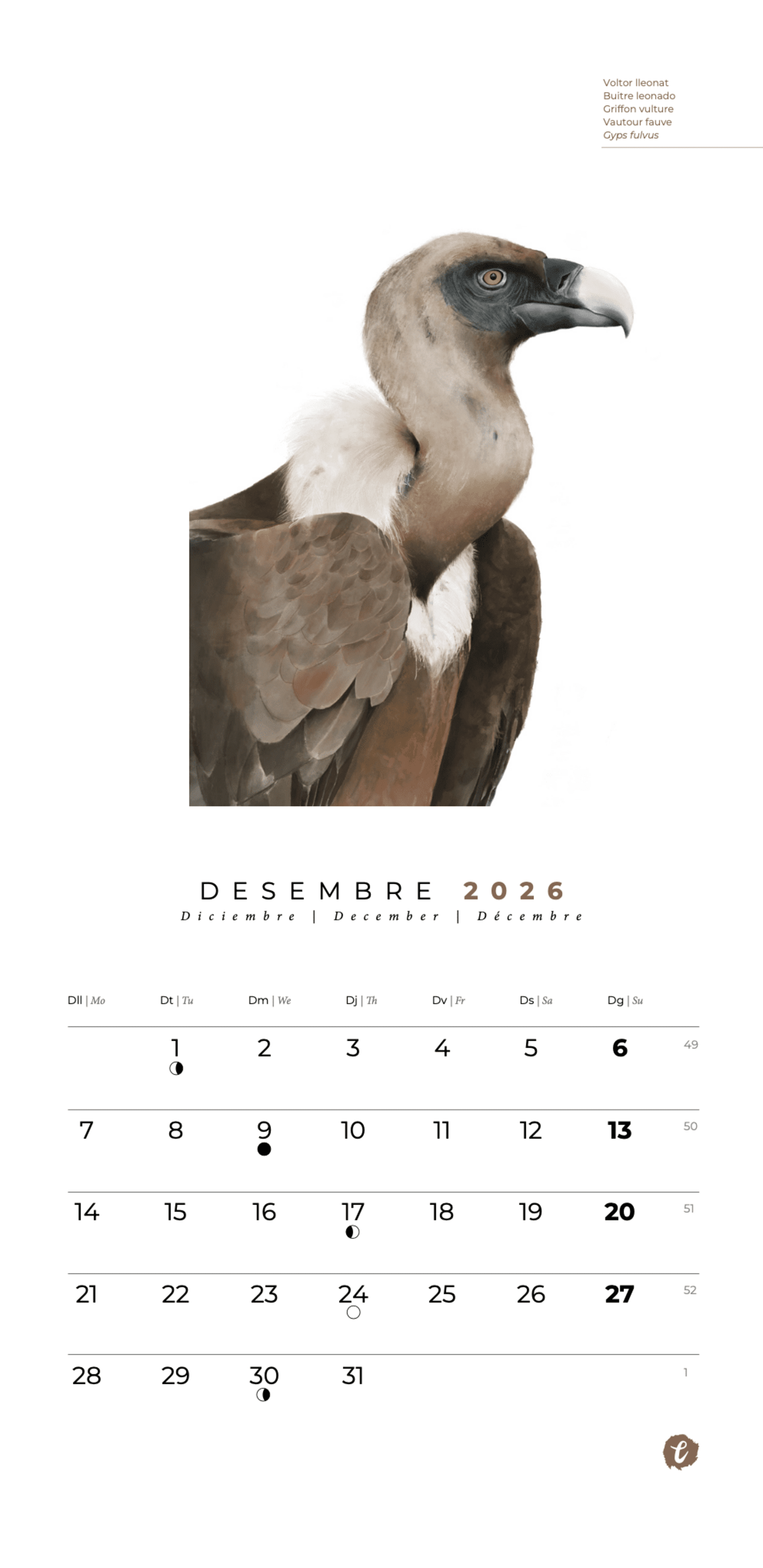 Calendari 2026 - 5