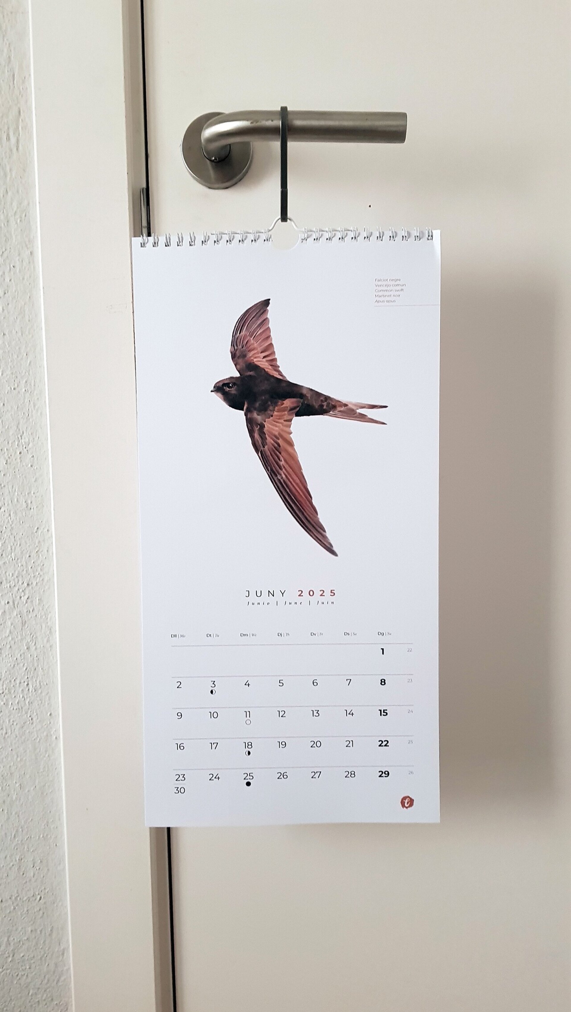 Calendari 2025 - 8