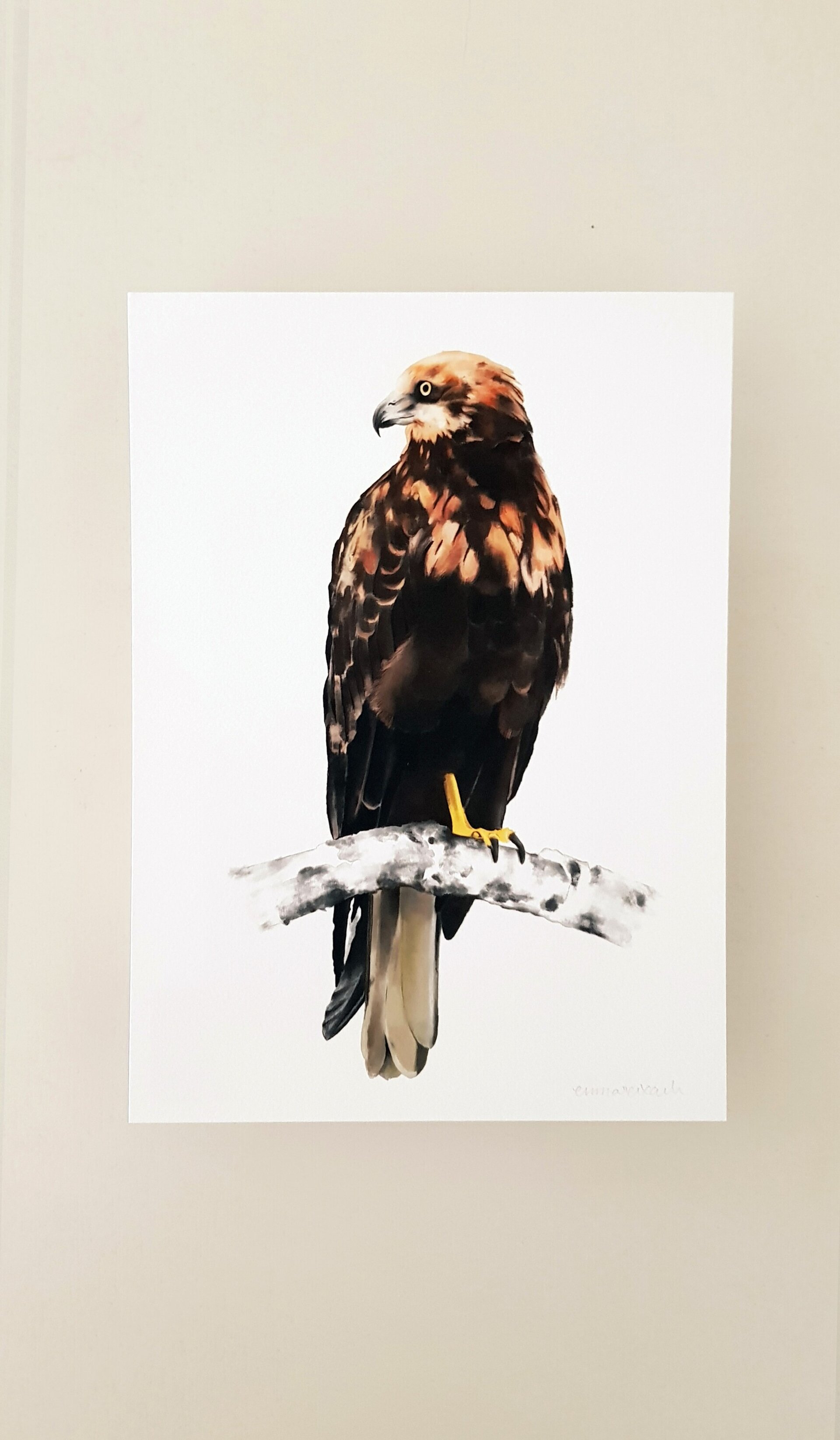Print ARPELLA - 4