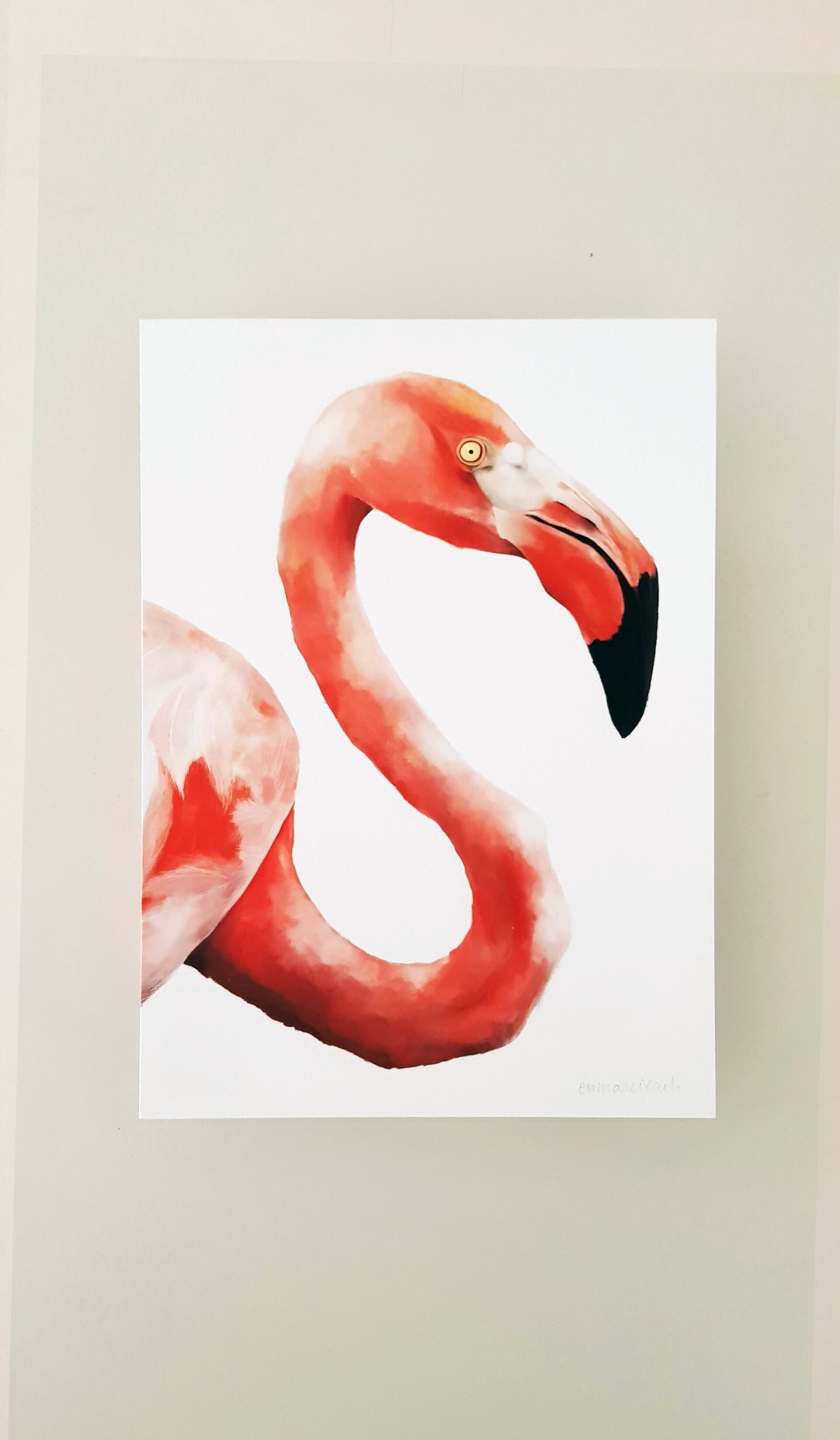Print FLAMENC - 6