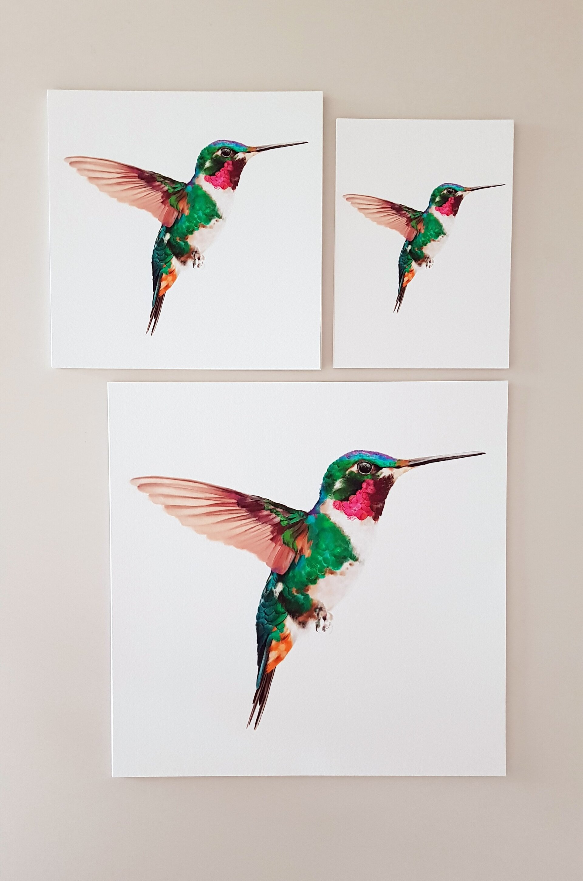 Print COLIBRÍ (Edició limitada) - 7