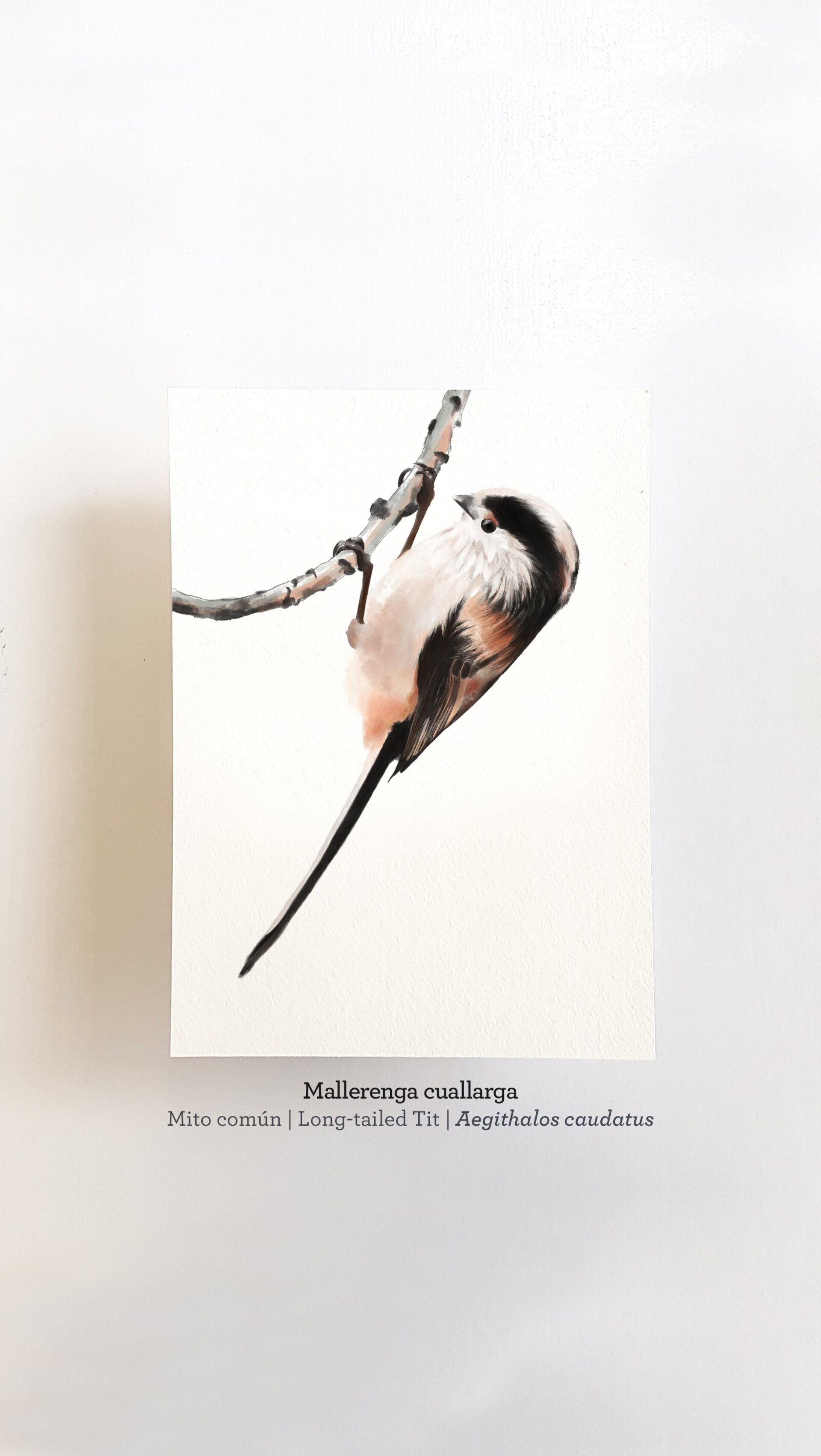 Print MALLERENGA CUALLARGA - 1