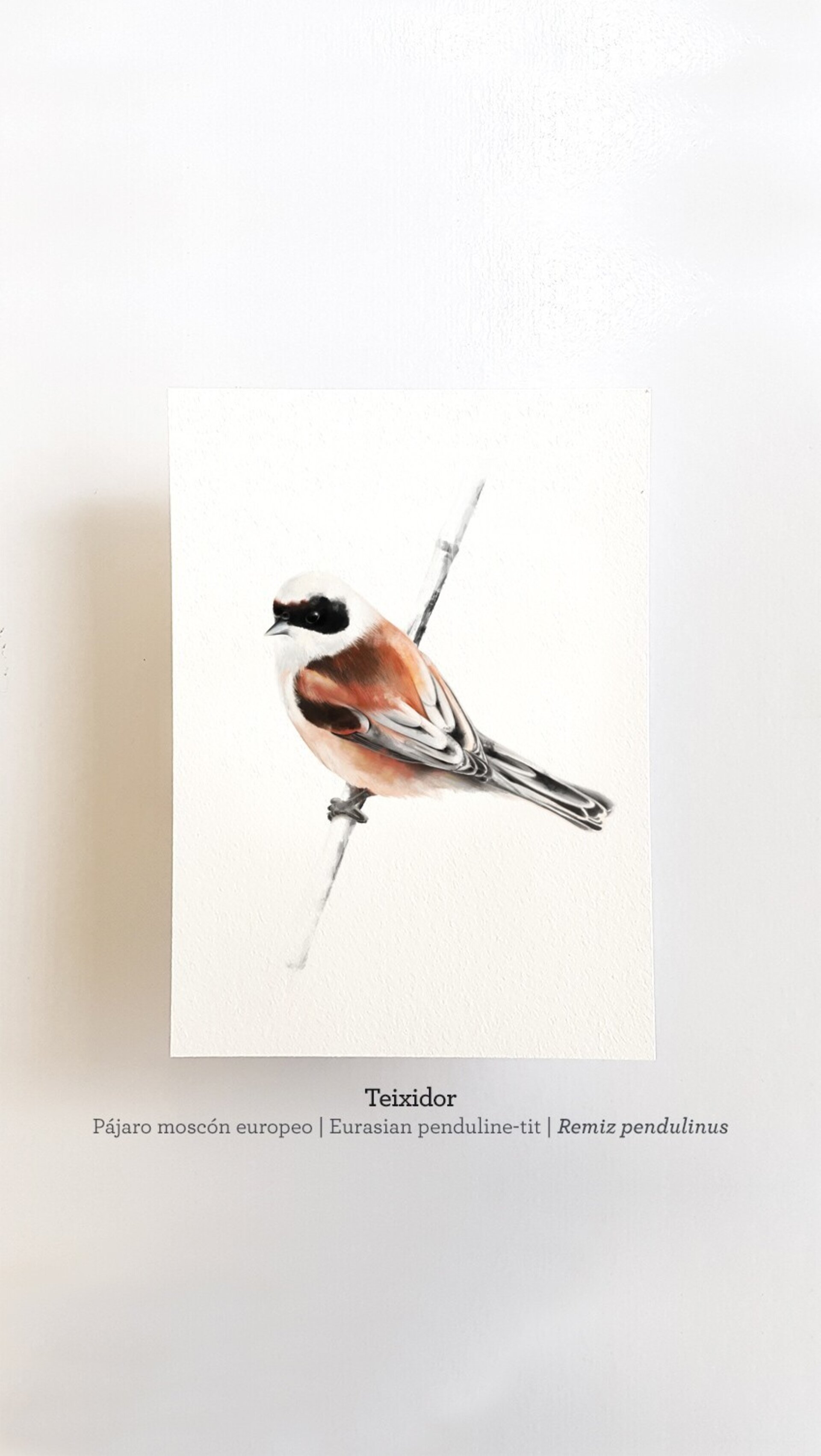 Print TEIXIDOR - 1
