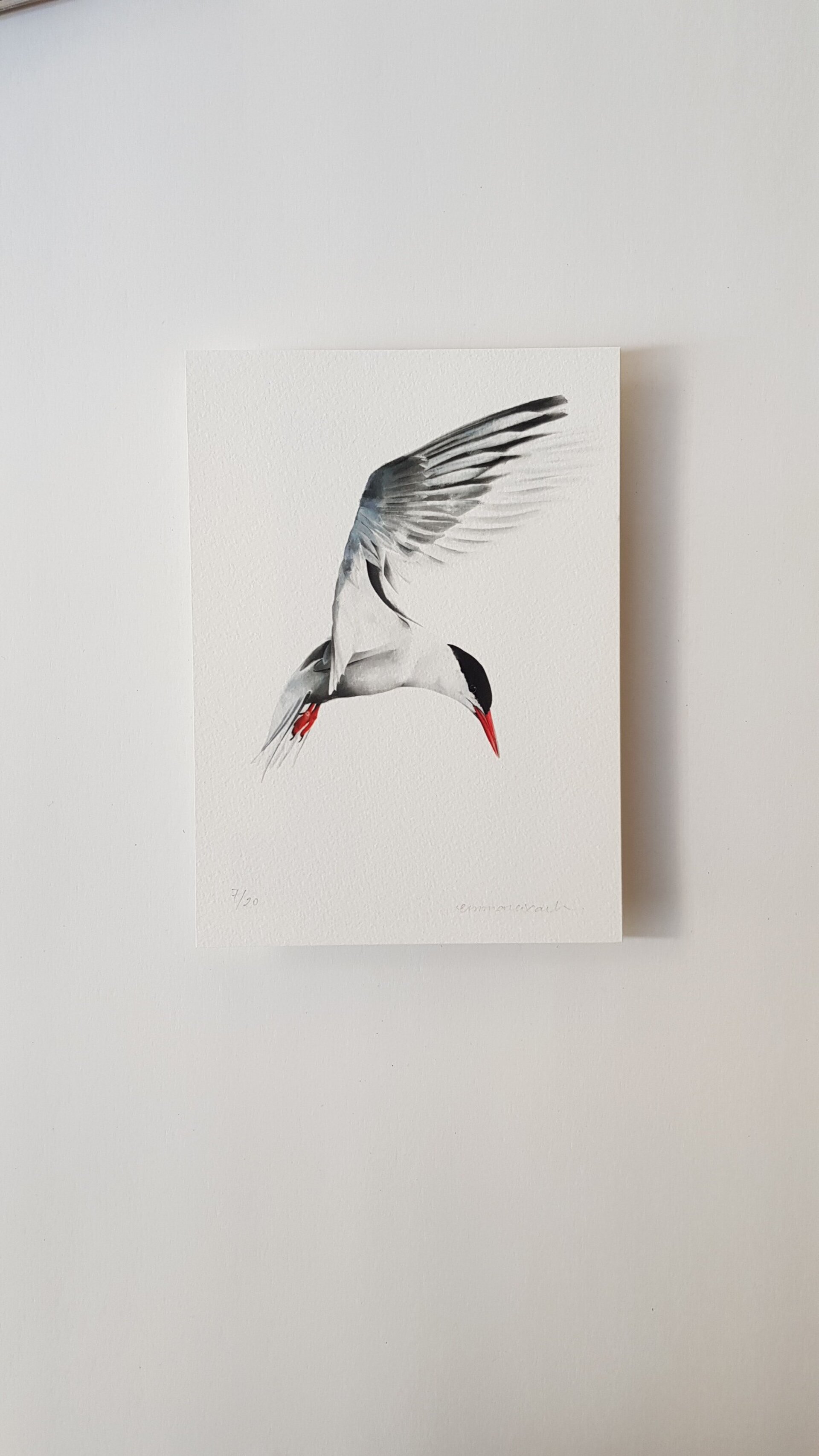 Print XATRAC - 6