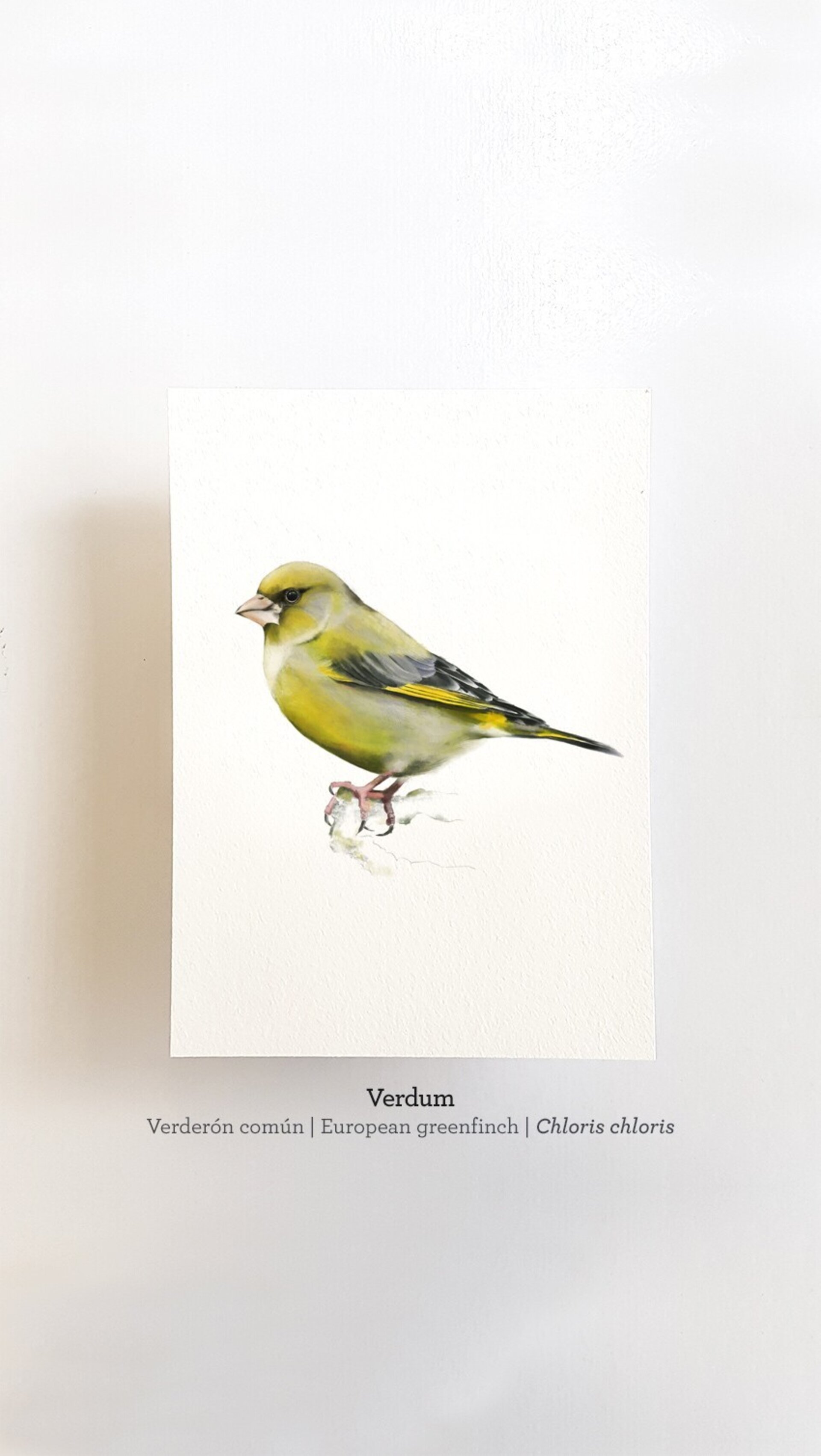 Print VERDUM - 1