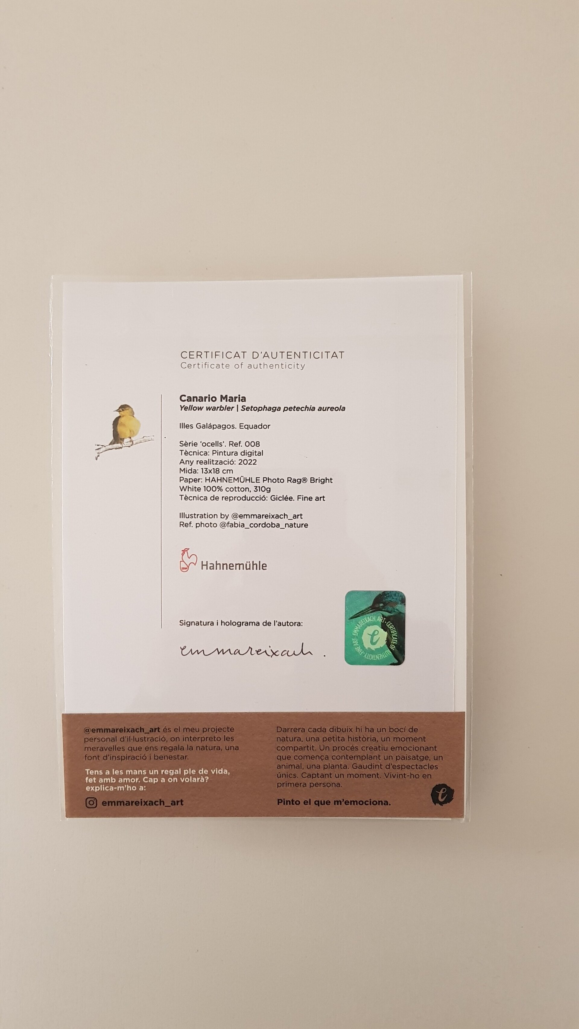 Print CANARI - 2