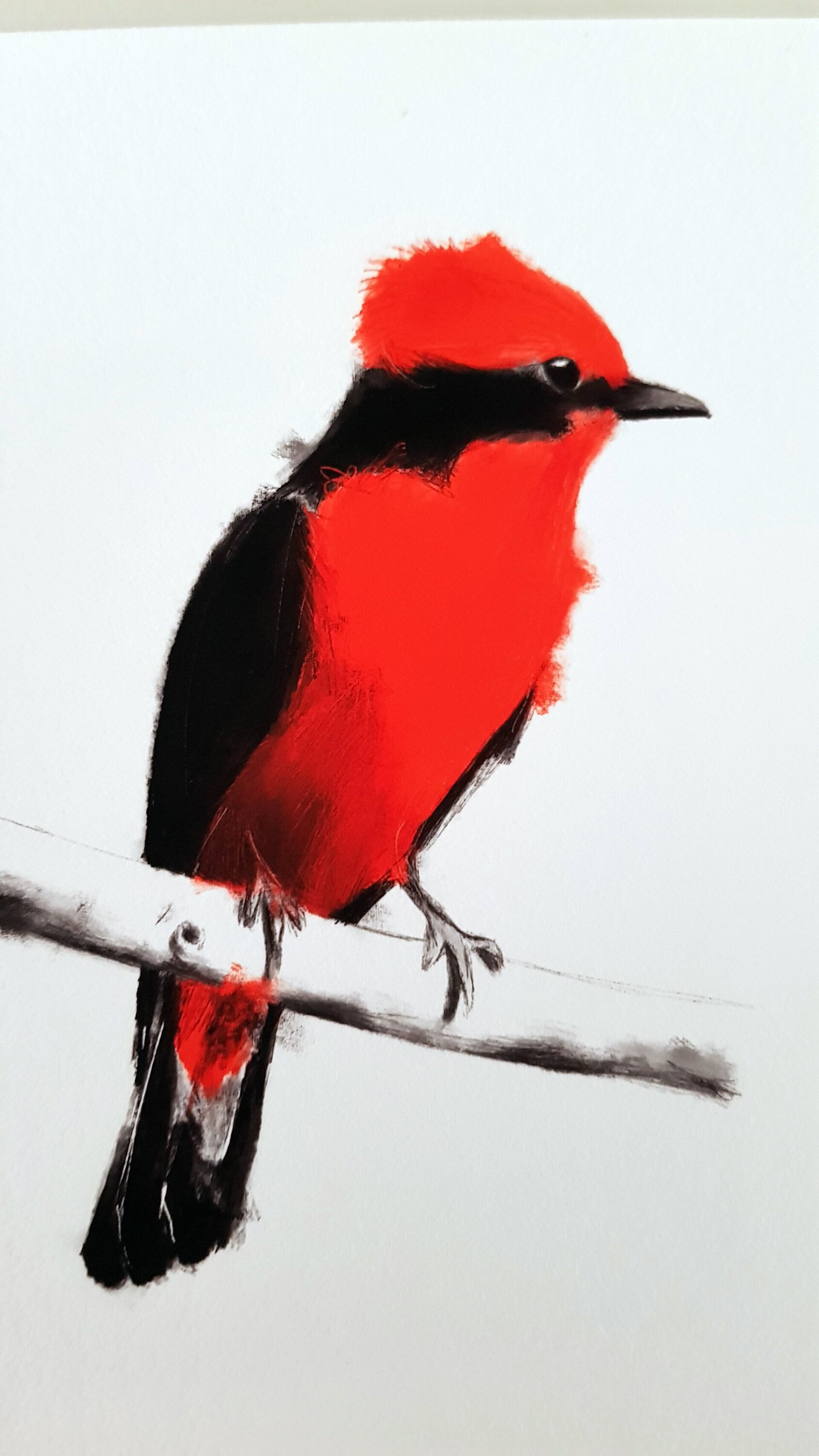 Print TIRÀ CARDENAL - 3