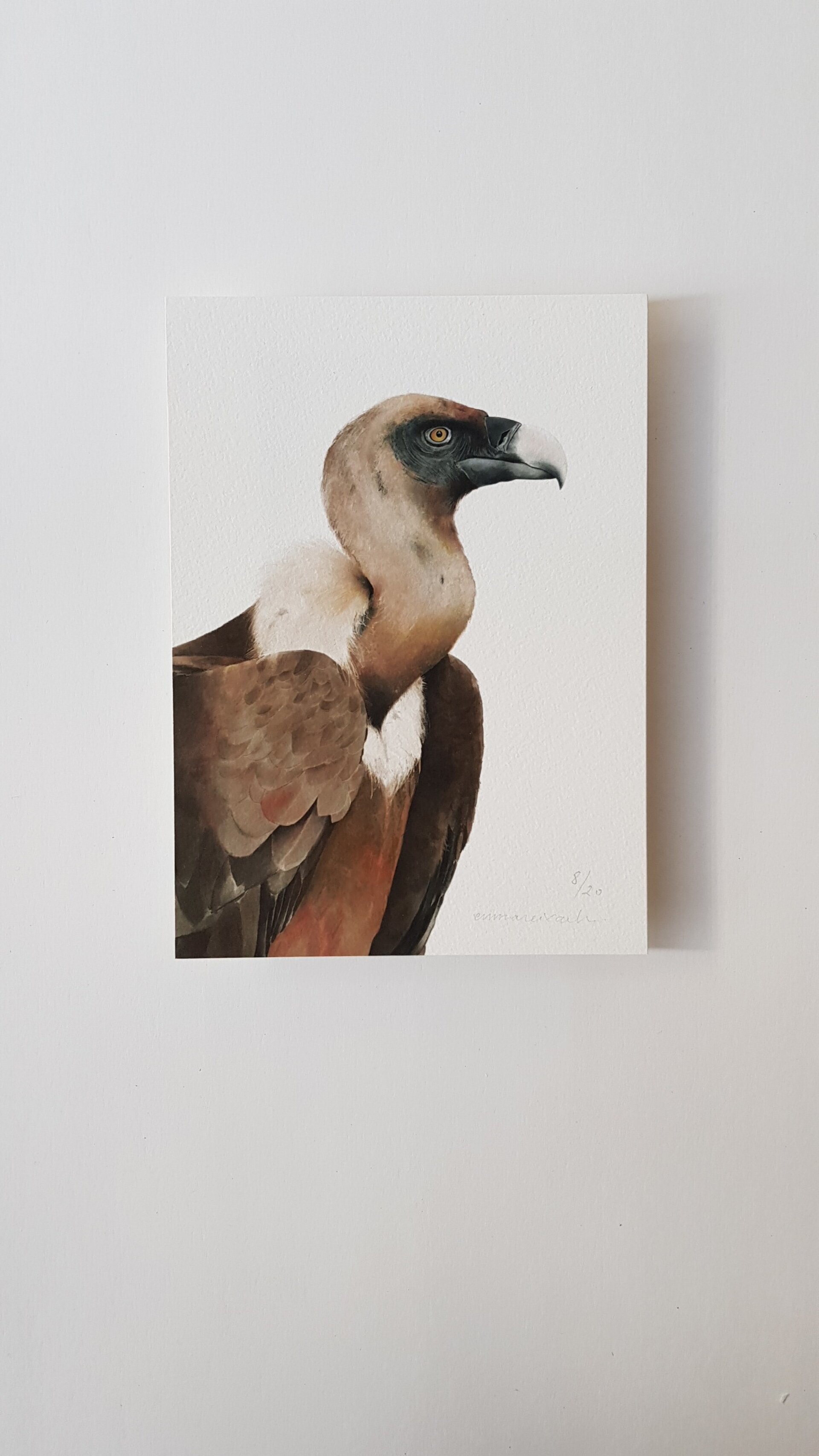 Print VOLTOR LLEONAT - 3