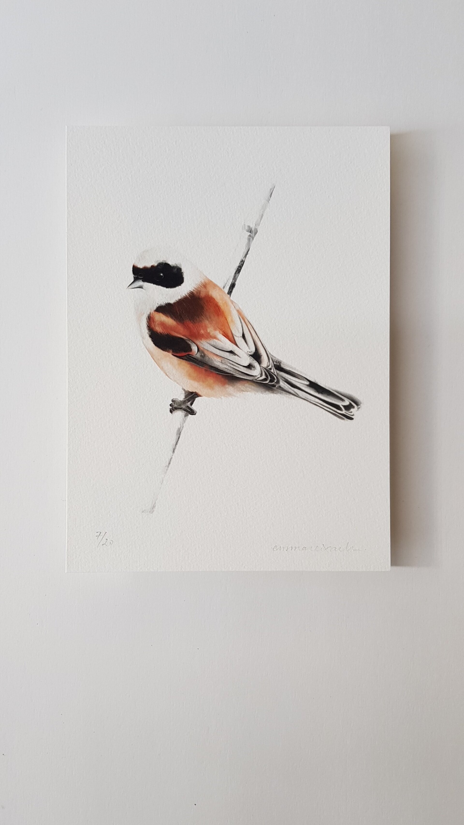 Print TEIXIDOR - 3