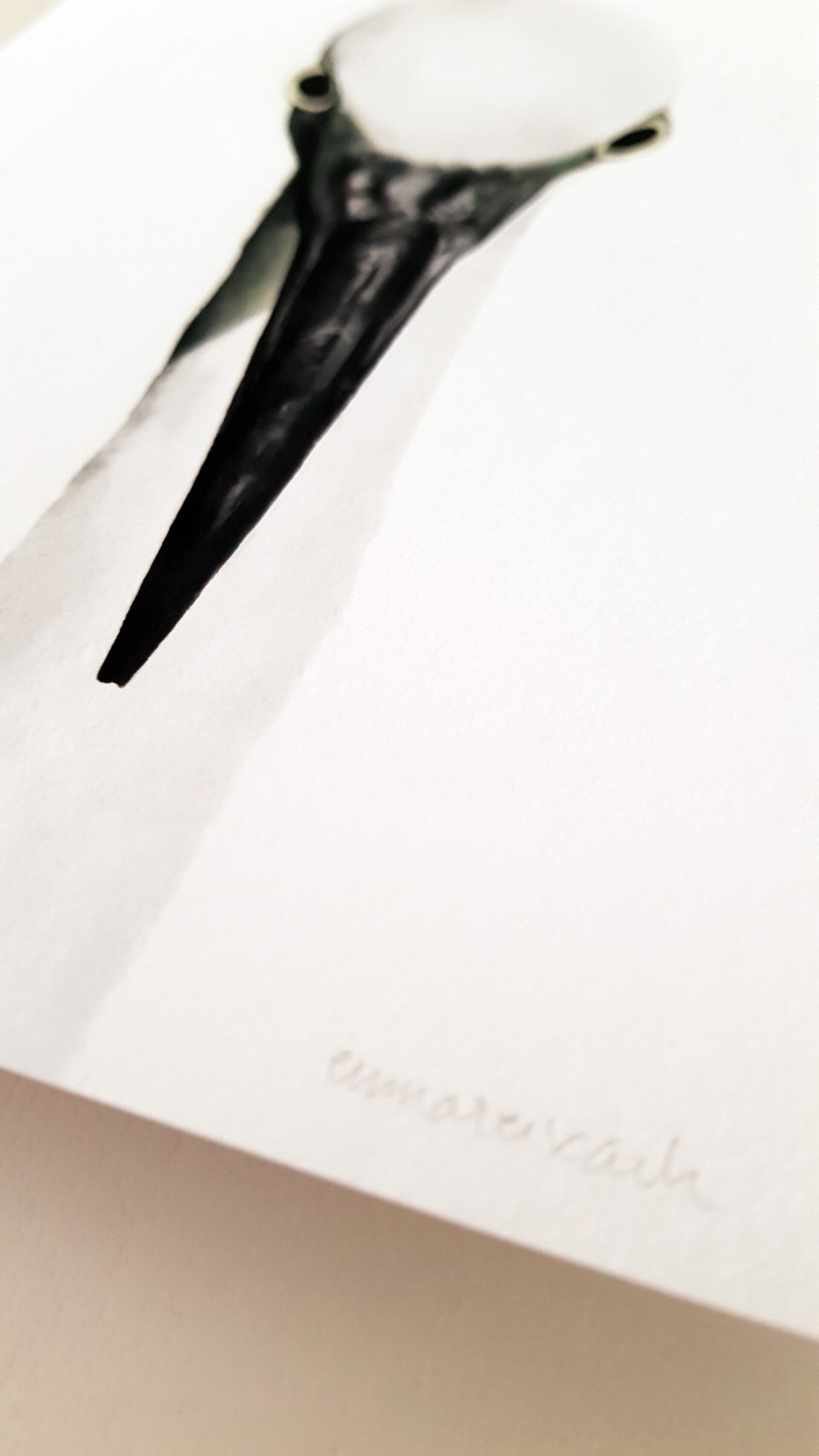 Print MARTINET BLANC - 4