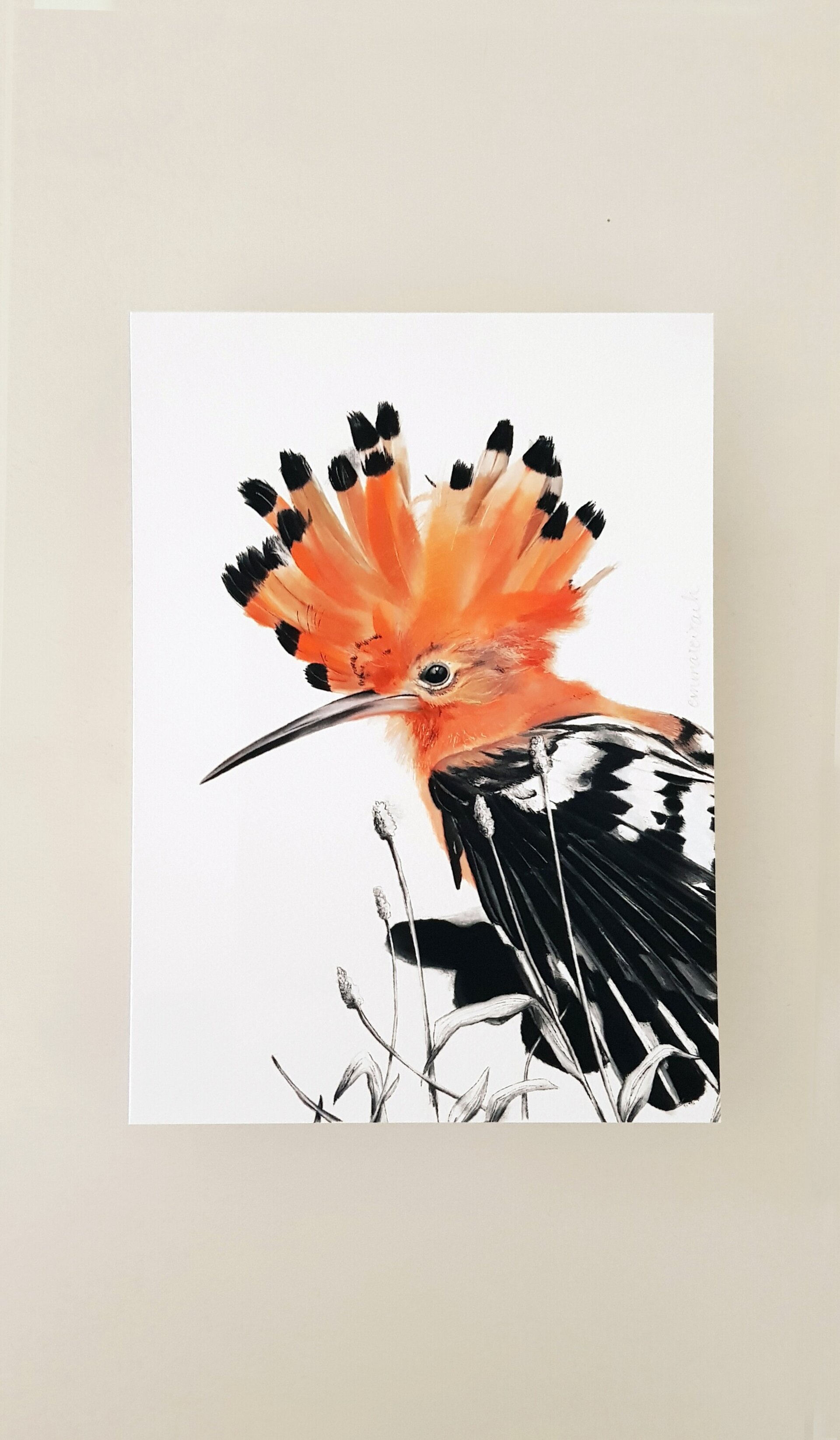 Print PUPUT - 5