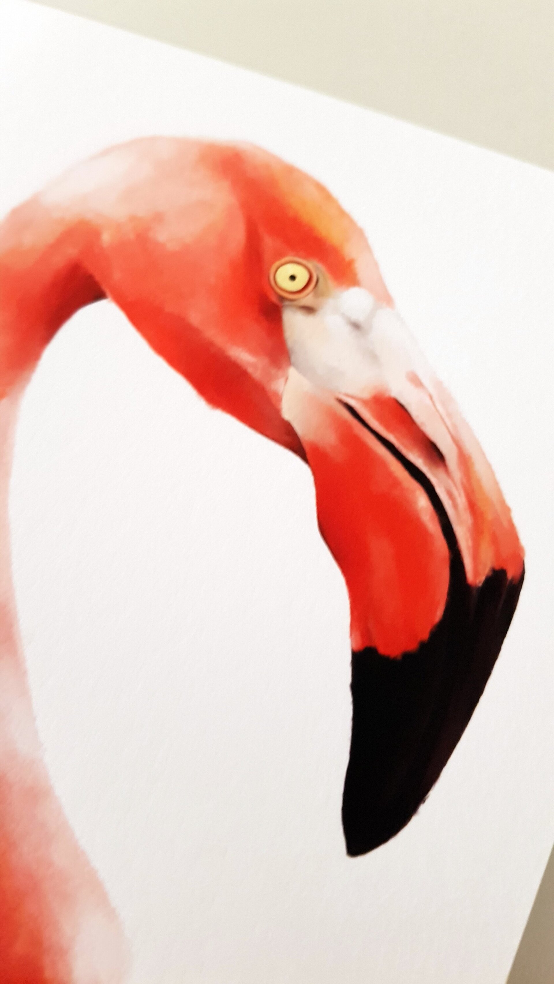 Print FLAMENC - 5