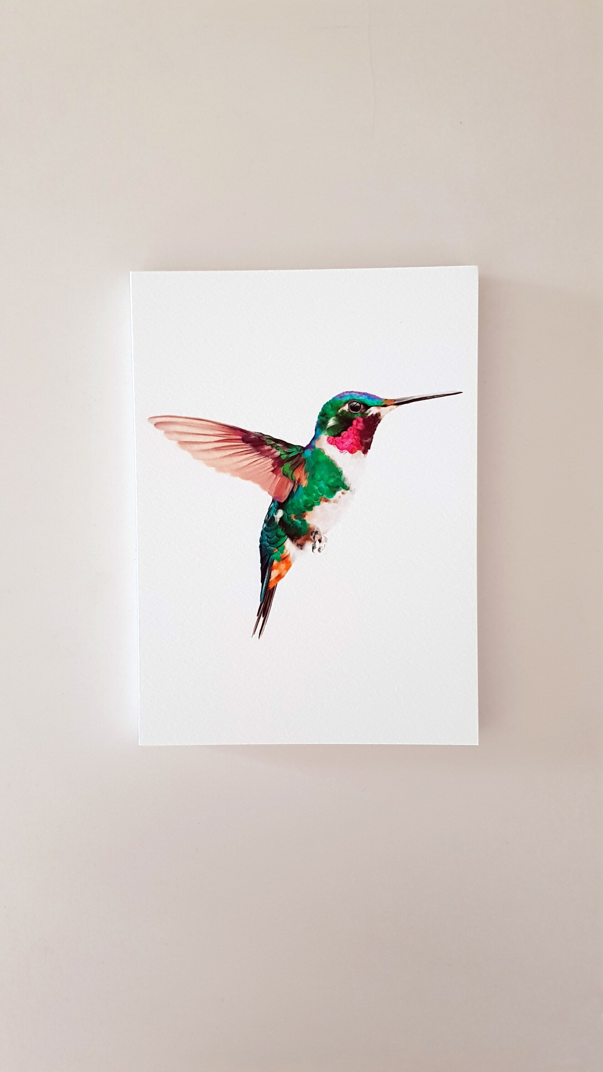 Print COLIBRÍ (Edició limitada) - 5