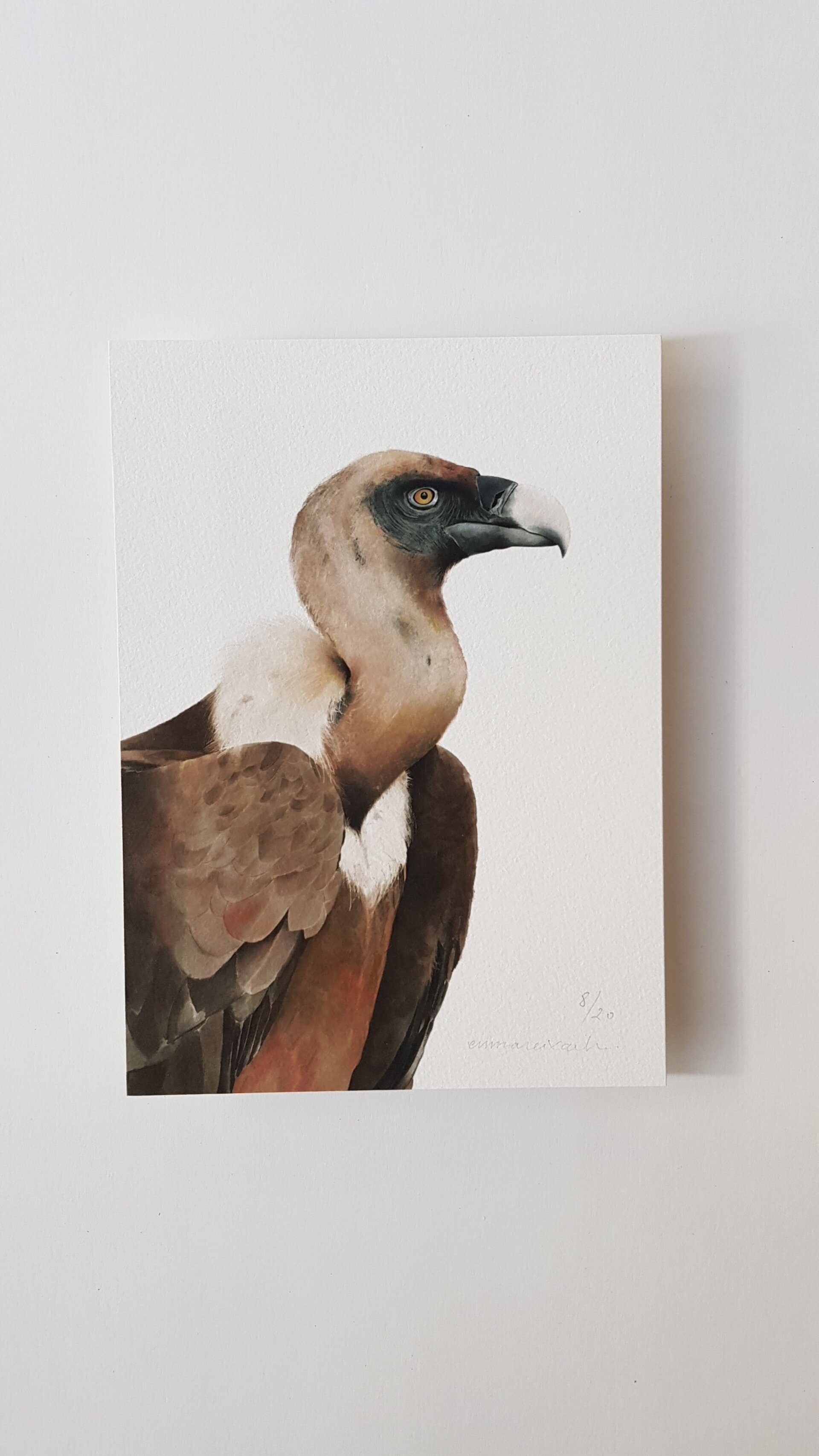 Print VOLTOR LLEONAT - 4