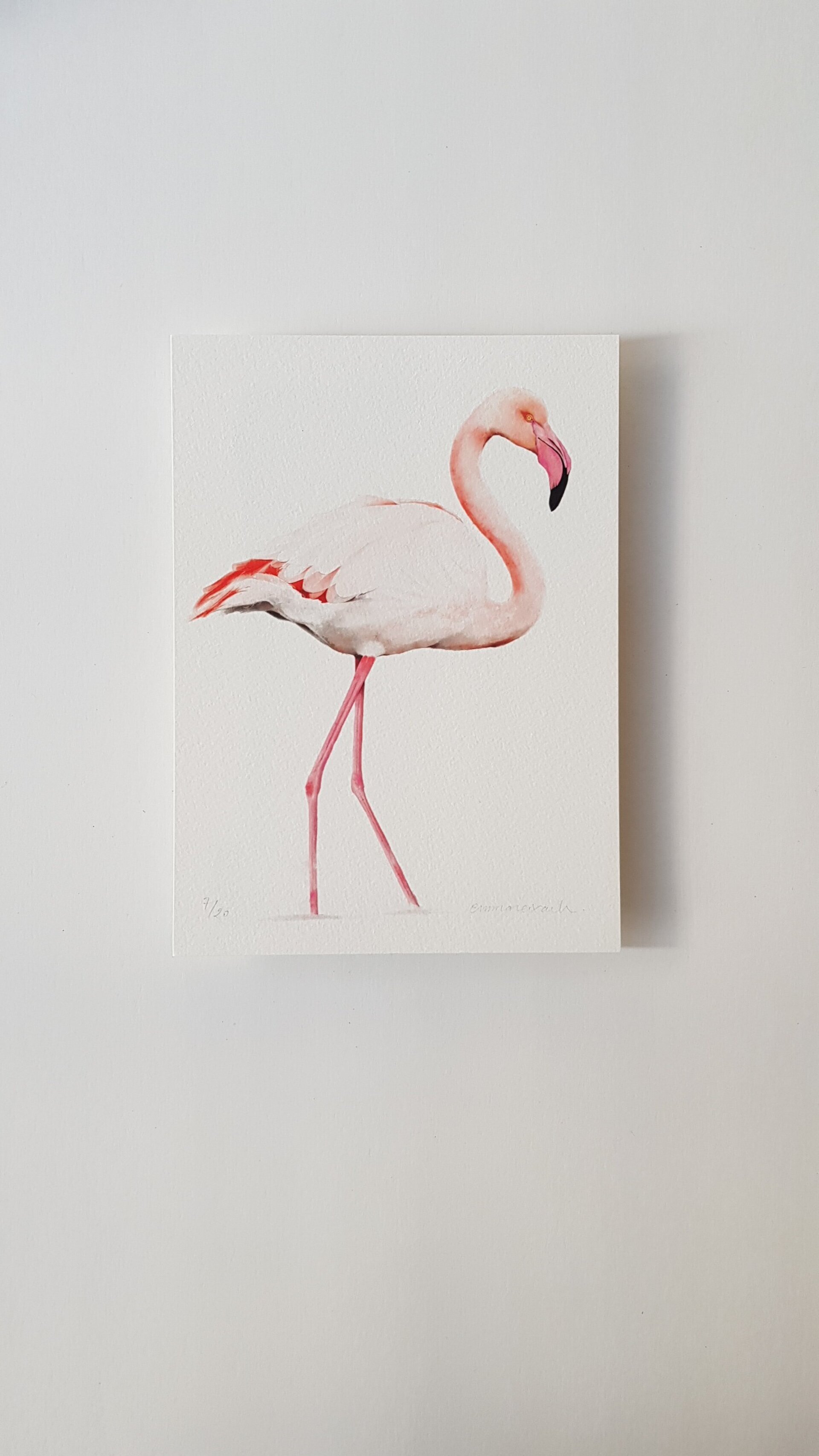 Print FLAMENC - 5