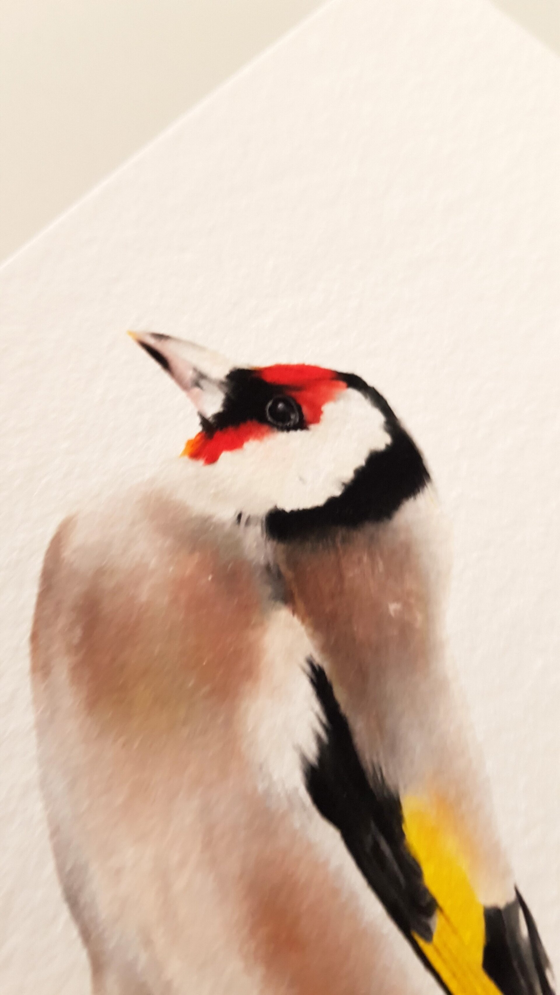 Print CADERNERA - 4