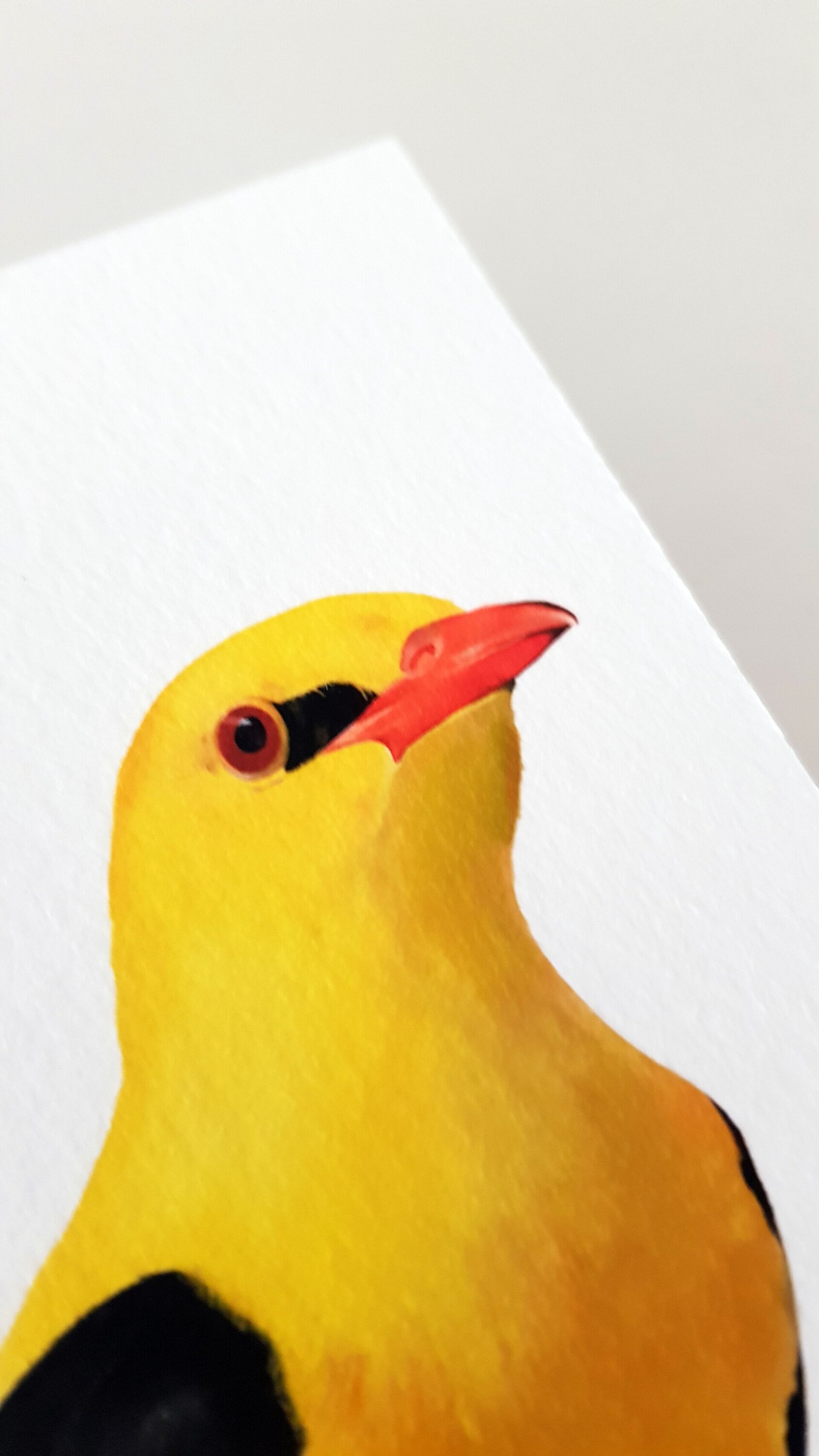 Print ORIOL - 7
