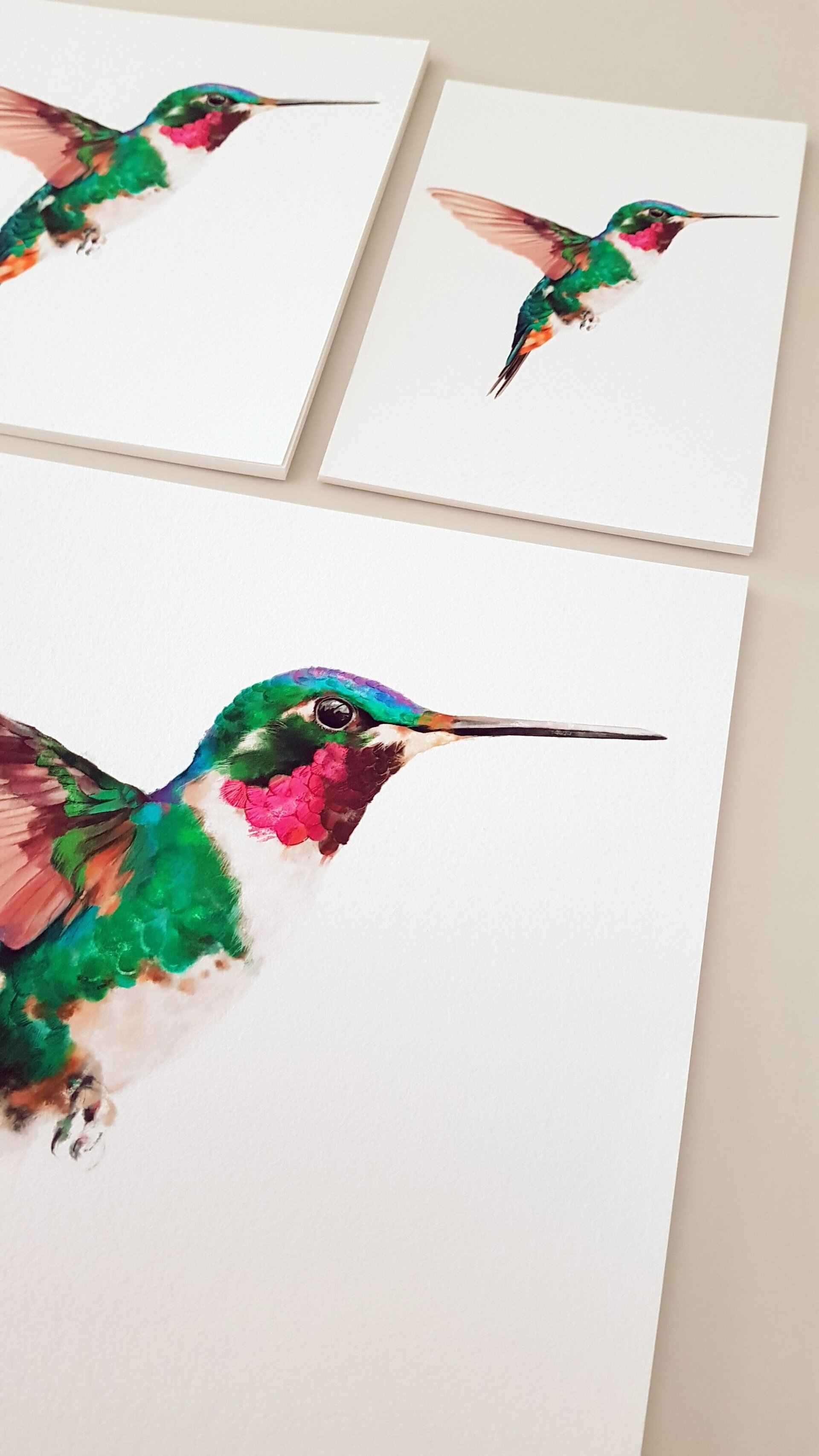 Print COLIBRÍ (Edició limitada) - 2