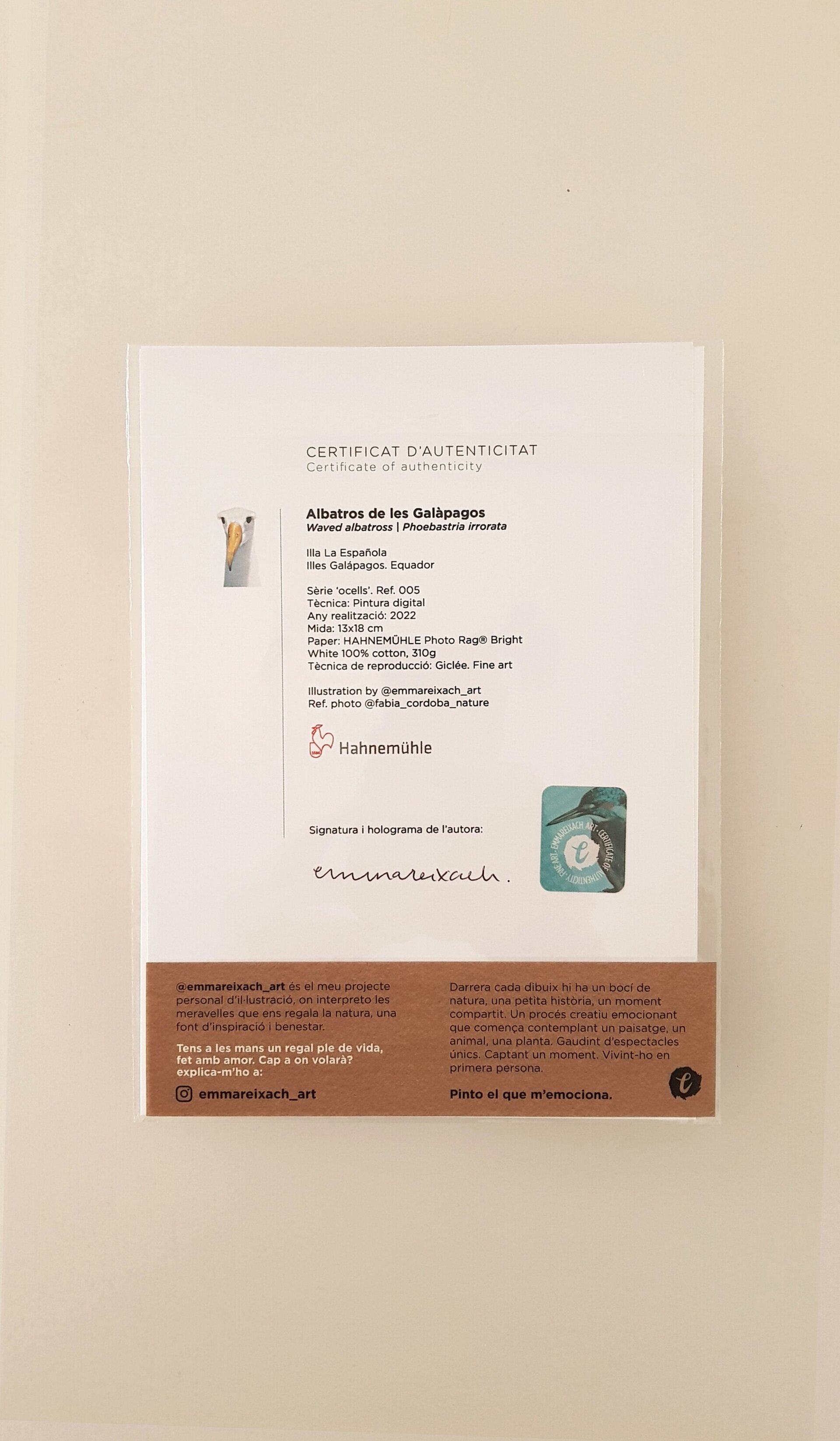 Print ALBATROS - 3